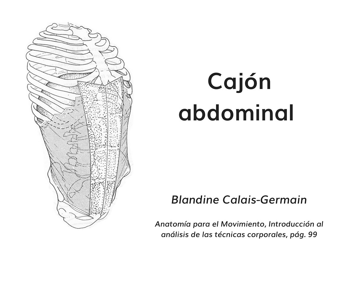 cajón_abdominal